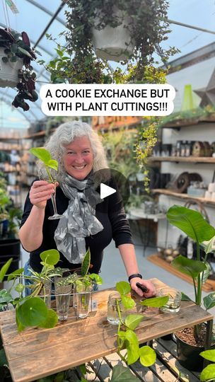 515K views · 16K reactions | Plant Exchange | A cookie exchange….but with plant cuttings!! | By Art's Nursery Ltd. | Facebook Crazy Plant Lady, Garden Hacks, Plant Propagation, Plant Cuttings, Cookie Exchange, Propagating Plants, Plant Lady, Garden Projects, Container Gardening