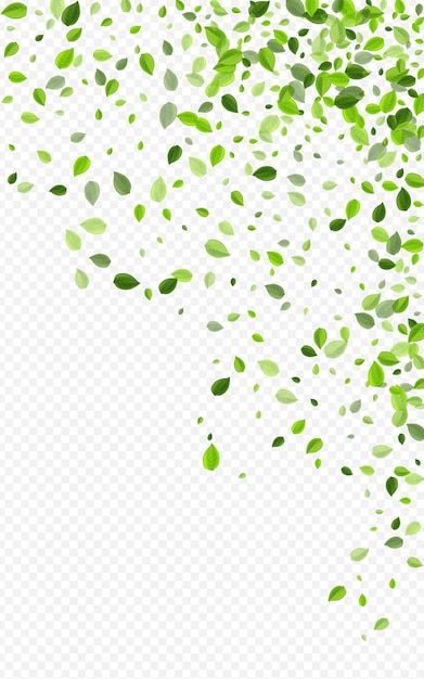 Premium Vector | Green confetti Swirl Illustration, Leaf Backdrop, Flying Banner, Herbal Leaves, Green Confetti, Forest Leaves, Mint Leaves, Green Leaves, Premium Vector