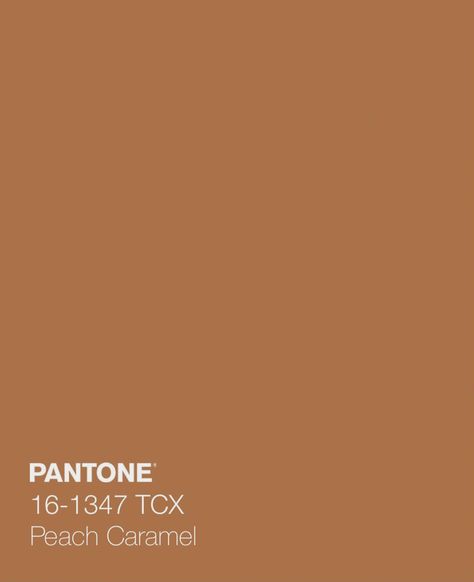 Pantone Skin Tone Color Palettes, Caramel Aesthetic Wallpaper, Caramel Aesthetic Color, Pantone Caramel, Caramel Paint Color, Kamryn Core, Caramel Color Palette, Camel Color Palette, Caramel Aesthetic