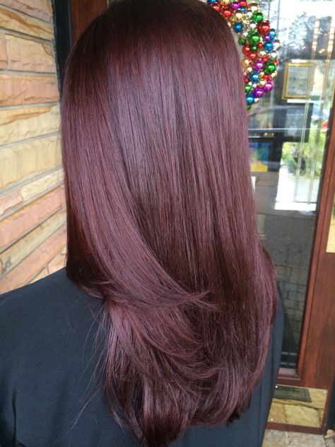 Mahogany Violet hue Haircolor done by Me.! ✔️ Red Color Hair, Pelo Color Borgoña, Pelo Color Vino, Pretty Brown Hair, Violet Hair Colors, Mahogany Hair, Hair Color Mahogany, Hair Color Plum, Hair Color Asian