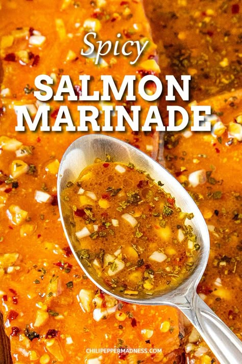 Salmon Recipes Marinade, Healthy Salmon Marinade, Marinade Salmon, Spicy Salmon Recipes, Best Salmon Marinade, Salmon Marinade Recipes, Salmon Dinners, Grill Salmon, Salmon Recipes Baked