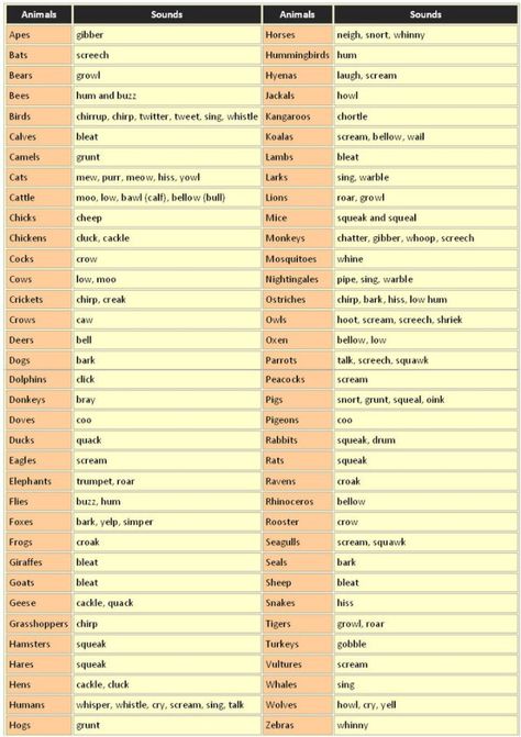 (EN) – Cries of Animals | languagelearningbase.com – Glossarissimo! Animals List, English Speech, Teaching English Grammar, Sound Words, Animal Sounds, English Writing Skills, Learn English Vocabulary, English Writing, Knowledge And Wisdom