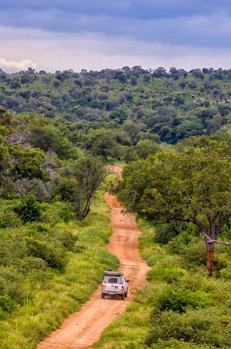 South Africa Kruger National Park, Main Gates, Kruger National Park South Africa, Africa Destinations, Africa Do Sul, South Africa Travel, Wildlife Safari, Out Of Africa, Kruger National Park