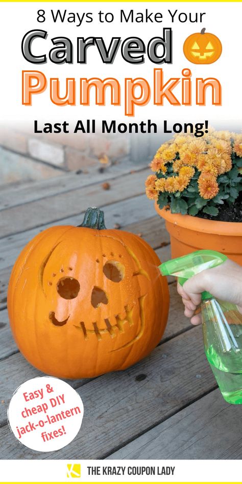 Preserve Carved Pumpkin, Pumpkin Carving Ideas Easy, Preserving Pumpkins, Diy Pumpkin Carving, Pumpkin Carving Tips, Pumpkin Carved, Pumpkin Guts, Disney Pumpkin Carving, Pumkin Carving