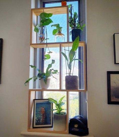 26 Practical Indoor Window Shelf Ideas for Plants Bay Window Plants, Butik Design, Window Plant Shelf, Plant Window, Window Plants, Window Shelves, Window Planters, Indoor Window, Dekor Diy