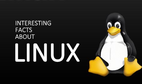 Linux kernel is one of the most popular and powerful platforms to work upon, but do you know all the facts about Linux? Read to know more.. Linux Laptop, Linux Kernel, Twitter Handles, Computer Case, Learning Process, Stock Exchange, Amazing Facts, Interesting Facts, One By One