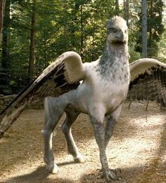 Magical Gains: Hippogriff or Griffin... what's the difference? Black Hippogriff, Hippogriff Tattoo, Harry Potter Creatures, Hogwarts Tattoo, Images Harry Potter, Lord Voldemort, Fantastic Beasts And Where, Harry Potter Wallpaper, Harry Potter Aesthetic