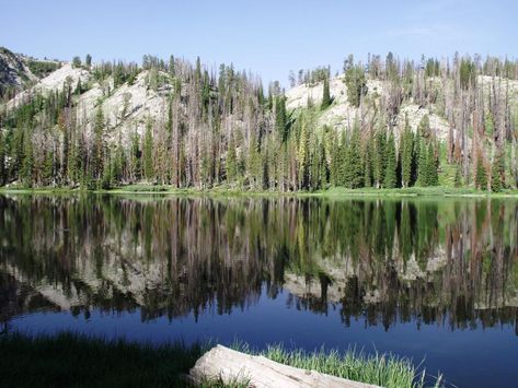 Boise National Forest - Big Roaring River Lake Campground Idaho Travel, Horseback Rider, Camping Places, River Trail, Cabin Camping, Mountain Trails, Oregon Travel, Forest Service, Canoe And Kayak