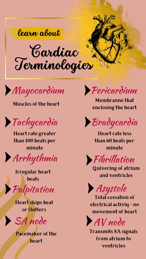 Medical Cardiac Terminologies | Medical Terms For Heart Cardiac Sonography, Medical Terminology Study, Sonography Student, Medical Assistant Student, Medical Words, Nursing School Essential, Medical School Life, Nursing School Motivation, Basic Anatomy And Physiology