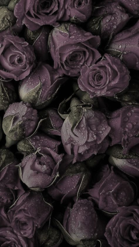 Dark Aesthic Wallpaper, Vintage Flowers Wallpaper, Dark Flowers, Nothing But Flowers, Dark Phone Wallpapers, Beautiful Wallpapers Backgrounds, Dark Wallpaper Iphone, Pretty Wallpapers Backgrounds, Purple Wallpaper