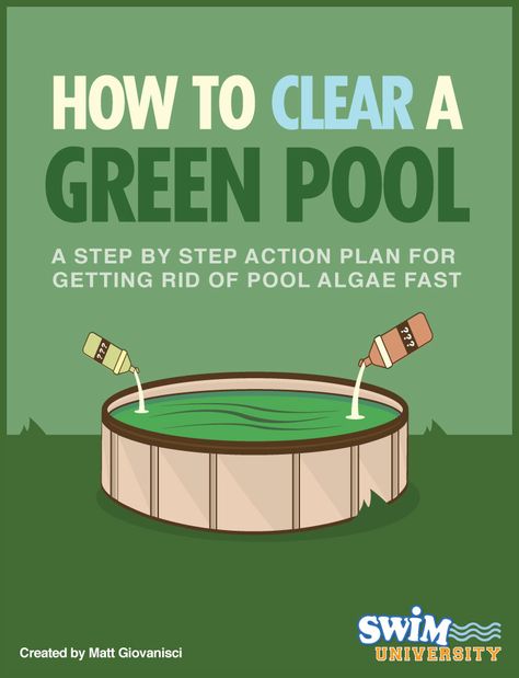 Green Pool Water, Pool Cleaning Tips, Pool Algae, Swimming Pool Maintenance, Swimming Pool Cleaning, Green Pool, Pool Hacks, Diy Swimming Pool, Pool Life