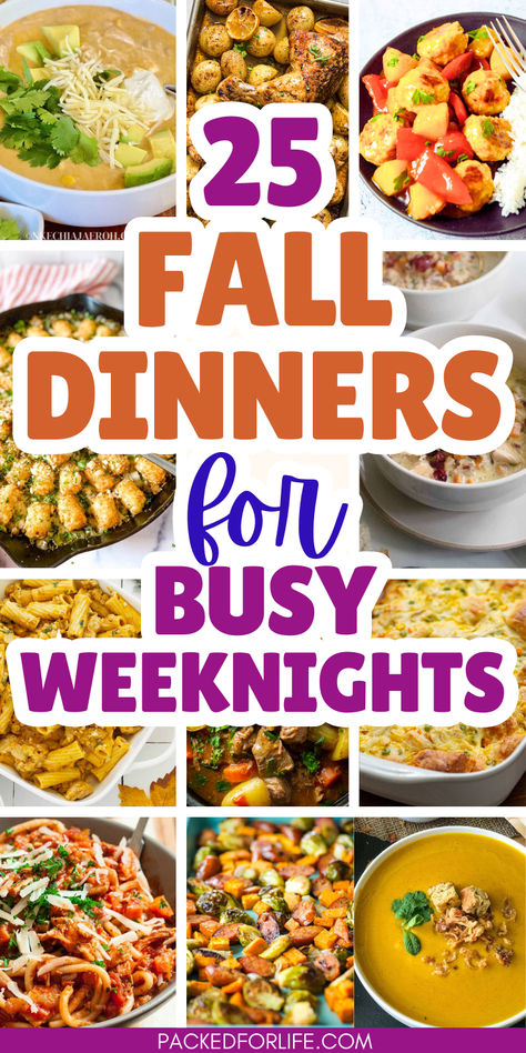 Text overlay 25 fall dinners for busy weeknights. With 12 photos of fall dinners from squash soup & white chicken chili, to tater tot turkey casseroles, & turkey pasta to harvest veggies sheet pan meals and beef stew. Fall Simple Dinner Recipes, Few Ingredient Fall Recipes, Beef Its Whats For Dinner, Dinner Ideas Family Main Dishes, Easy Fall Meals For Two, Fall Time Food Ideas, Summer To Fall Recipes, Early Fall Meal Ideas, Autumn Dinners Healthy