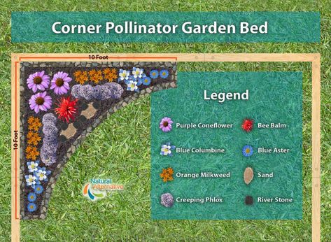 Bee Garden Plan, Corner Garden Plan, Hummingbird Garden Layout, Butterfly Garden Plans Layout, Flower Garden Against House, School Pollinator Garden, Perrenial Garden Layout, Corner Flower Garden, Butterfly And Bee Garden