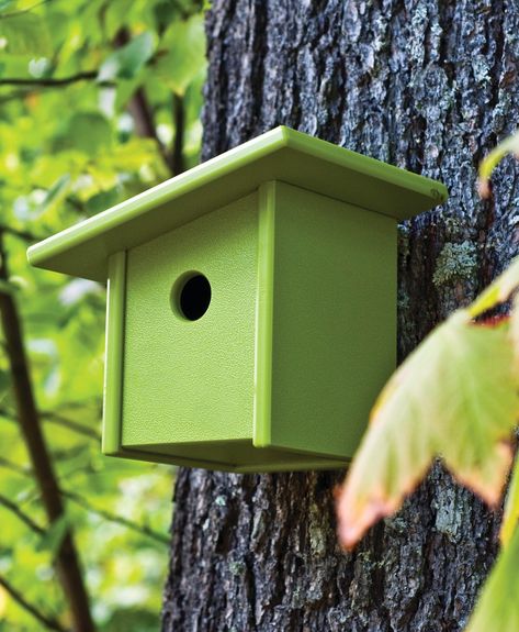 Pitch Birdhouse - Design Within Reach Loll Furniture, Large Bird Houses, Modern Birdhouses, Bird House Kits, Bird Aviary, Birdhouse Designs, Planter Table, Loll Designs, Deco Originale