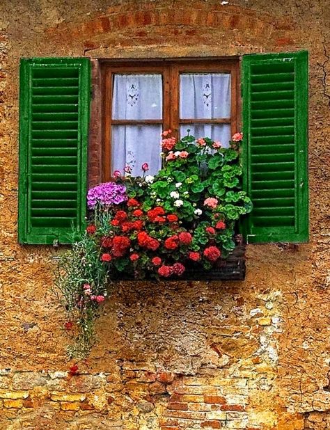 San Gimignano, Siena, Italy Doors And Windows Design, Italy Siena, Balcony Window, Window Box Flowers, Siena Italy, Flower Window, Beautiful Windows, Garden Windows, Old Windows