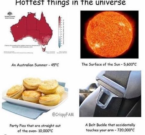 17 Amusing Aussie Memes For The 'Choccy Milk' Addicts Aussie Meme, Choccy Milk, Australia School, Aussie Memes, Australian Memes, Meanwhile In Australia, Australia Funny, Historical Humor, Pie Party