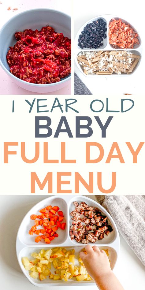 Easy, quick, nutritionist created homemade baby food recipes for an 12 month old baby. #babyrecipes #babyfood #1yearold 12 Month Old Schedule Food, 9month Food Ideas, Meals For My 12 Month Old, 11 Month Old Eating Schedule, Menu For 12 Month Old, 12 Month Old Food Recipes, Food 12 Month Old, Healthy Snacks For 13 Month Old, 12 Month Recipes