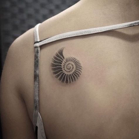 Paper Nautilus Tattoo, Shell Shoulder Tattoo, Fibonacci Shell Tattoo, Nautilus Tattoo Shell, Spiral Seashell Tattoo, Conk Shell Tattoos, Nautilus Tattoo Design, Spiral Palm Tattoo, Chambered Nautilus Tattoo