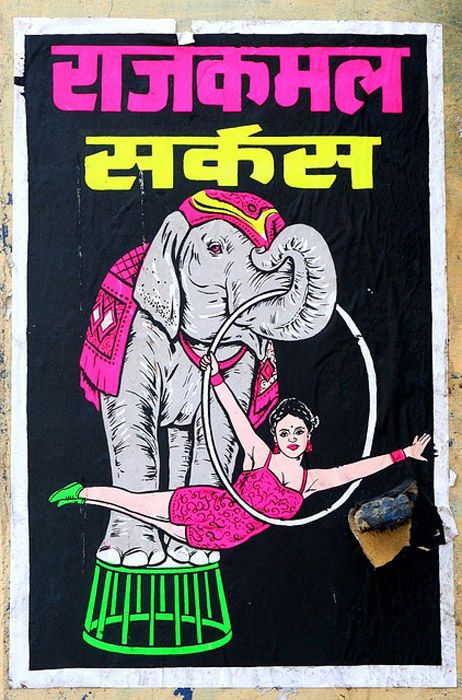 Circus poster of Elephant Circus Graphic Design, Indian Circus, Scraped Knee, Indian Retro, Circus Posters, Elephant Poster, Graphic Design Style, Indian Illustration, Bollywood Posters