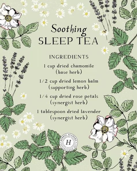 Herbal Academy on Instagram: "We're breaking down our Soothing Sleep Tea showing how we blended this recipe with a base herb, supporting herb, and two synergist herbs.  ​ ​SOOTHING SLEEP TEA RECIPE BASE HERB: 1 cup dried chamomile (Matricaria chamomilla) ​SUPPORTING HERB: ​½ cup dried lemon balm (Melissa officinalis) ​ ​SYNERGIST HERBS: ¼ cup dried rose (Rosa spp.) petals 1 tablespoon dried lavender (Lavandula officinalis) You can find step-by-step directions on preparing this tea as well as Herbal Tea Recipes Homemade, Witch Grimoire, Side Hussle, Tea Blends Recipes, Herbal Tea Garden, Herbal Education, Tea Remedies, Herbal Remedies Recipes, Tea Drink Recipes