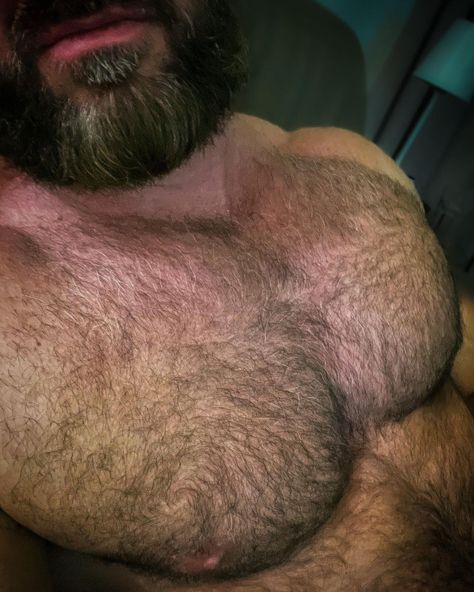 Big Beards Men, Men Chest Hair, Scruffy Beard, Handsome Older Men, Scruffy Men, Big Beards, Bear Man, Men Kissing, Beefy Men