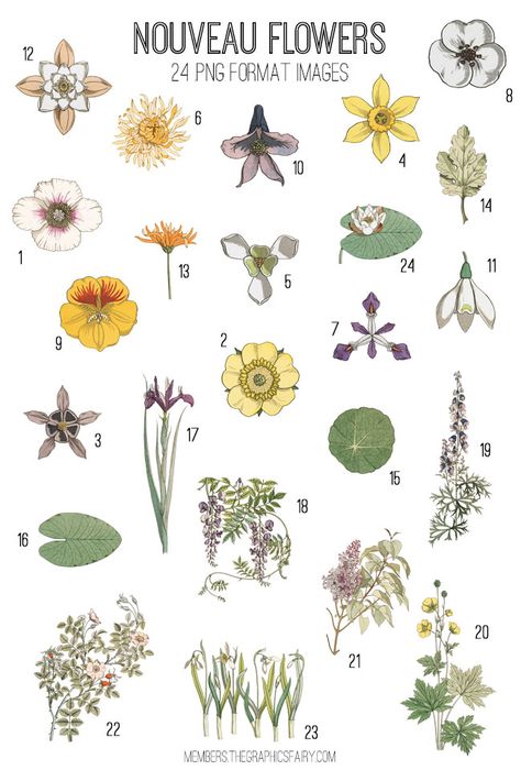 Art Nouveau Flowers Kit! Graphics Fairy Premium Membership Art Nouveau Fairy Illustrations, Art Nouveau Botanical Illustrations, Fairy Art Nouveau, Art & Crafts, Art Nouveau Flowers Illustration Floral Patterns, Art Nouveau Spring, Art Nuevo Flowers, Art Nouveau Flowers Pattern, Art Nouveau Flower Design