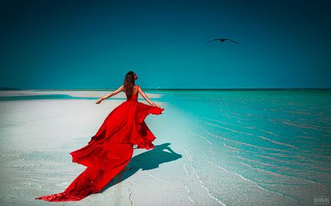 null Beach Fashion Shoot, Red Flowy Dress, Beach Photography Poses, Long Red Dress, Beach Shoot, Flowing Dresses, Photography Poses Women, Long Red, Pre Wedding Photoshoot