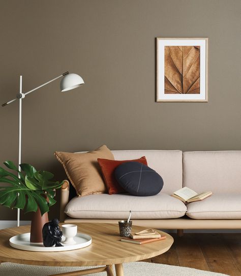 Porter's Paints - Wet cement. A warm neutral brown with a touch of ochre. Brown Walls Living Room, Reka Bentuk Bilik Tidur, Living Room Wall Color, Room Wall Colors, Room Wall Painting, Living Room Decor Colors, Bilik Tidur, Design Apartment, Paint Colors For Living Room