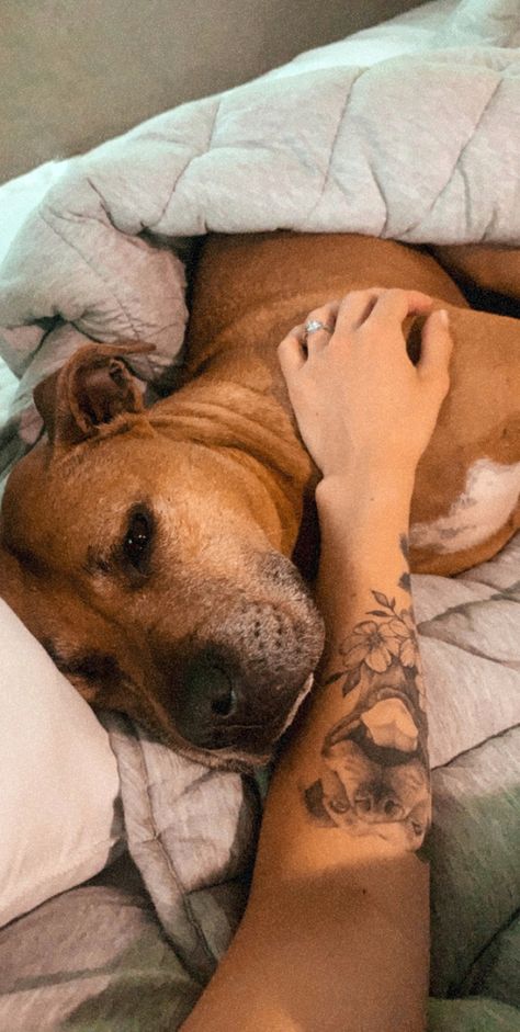 Dog Arm Tattoos For Women, Dog Portrait Tattoo Placement, Dog Portrait Tattoo Sleeve, Pet Portrait Tattoo Placement, Dog Thigh Tattoo, Dog Forearm Tattoo, Pitbull Tattoo For Women, Staffy Tattoos, Dog Tattoo Portrait