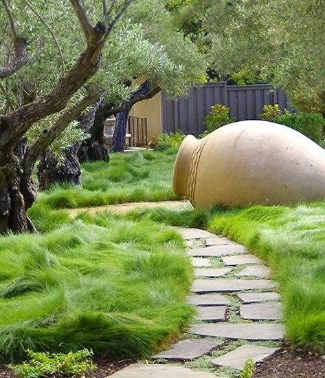 14 No Mow Lawn Alternative Ideas | Best Grass Alternatives No Grass Yard, Lawn Free Yard, Grass Alternative, No Mow Grass, Stone Garden Paths, Planting Grass, Sacred Garden, Lawn Alternatives, No Grass Backyard