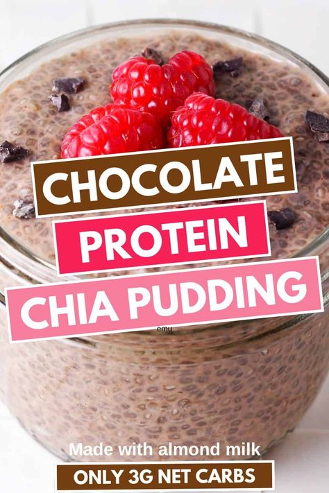 Indulge in this delicious chocolate protein chia pudding recipe, a perfect high protein breakfast or healthy dessert. Made with chia seeds, chocolate protein powder, and almond milk, it's packed with healthy fats and grams of protein. Ideal for meal prep, this creamy chia pudding is easy to make and customizable with your favorite toppings like cacao nibs and fresh strawberries. Try this chocolate chia protein pudding recipe for a quick and nutritious treat! Chia Seed Pudding Almond Milk, Chia Protein Pudding, Best Chia Pudding Recipe, Protein Chia Seed Pudding, Protein Pudding Recipe, Strawberry Chia Seed Pudding, Protein Chia Pudding, Chocolate Chia Pudding Recipes, Chia Pudding Breakfast