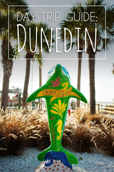 dunedin-fl-day-trip-guide Dunedin Florida Things To Do, Madeira Beach Florida, Florida Travel Destinations, Dunedin Florida, Clearwater Beach Florida, Indian Shores, Florida Adventures, Florida Life, Madeira Beach