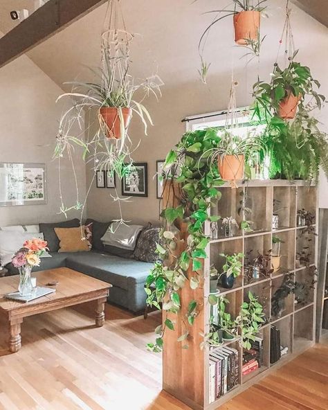 Plant Divider, Divider Ideas, Studio Apartment Living, First Apartment Decorating, Living Room Partition, Room Partition, House Plants Decor, Furniture Small Spaces, Small Balcony Ideas