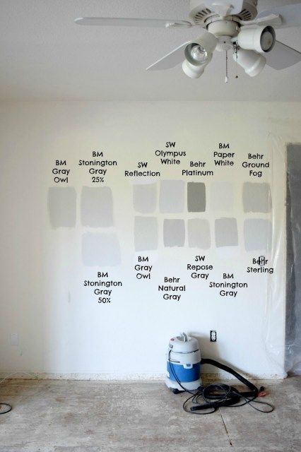 Perfect Grey Paint, Best Gray Paint Color, Light Grey Paint Colors, Stonington Gray, Interior Paint Colors Schemes, Light Gray Paint, Light Grey Walls, Neutral Paint Colors, Gray Paint