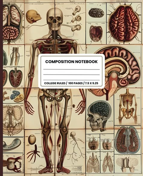 Composition Notebook College Ruled: Vintage Human Anatomy Medical Illustration. Skeleton Skull Bones Aesthetic: Publishing, Racing Bathtub: Amazon.com: Books Anatomy Medical Illustration, Bones Aesthetic, Anatomy Medical, Book Cover Design Template, Yearbook Design, Notebook Cover Design, Vintage Notebook, Skull Bones, Medical Journals