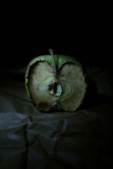 Great article on "still life photography where objects are in action without animation" Literature Photography, Photographie Art Corps, Decay Art, Billy Kidd, Photography Snow, Photography Examples, Growth And Decay, Dark Green Aesthetic, Time Photography