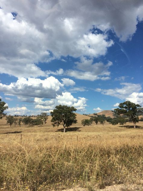 Country farms near Tamworth NSW Australia, by jstarrcreative Australian Country Aesthetic, Tamworth Nsw, Australia Country, Tamworth, Australian Bush, Country Lifestyle, Red Rocks, Nsw Australia, The Way Home