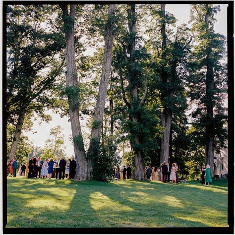 Kelsey & Will - The Inn at Kenmore Hall Wedding in The Berkshires + Super8 Wedding Video — Kayla Snell Photography Super8 Wedding, Sewanee Wedding, The Berkshires, Film Wedding, Austin Wedding, Wedding Video, Santa Barbara, Elopement Photographer, Denver