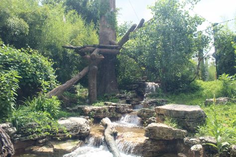 Zoo Exhibit, Zoo Boo, Bear Habitat, Sun Bear, St Louis Zoo, Zoo Architecture, Rivers Edge, Community Signs, River Edge