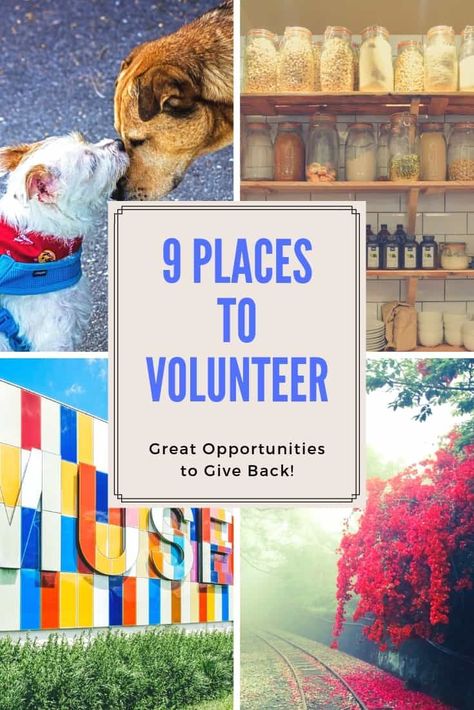 9 Places for Community Service Volunteer Opportunities Community Volunteer Ideas, Volunteer Work Ideas, Volunteering Ideas, Volunteer Ideas, Places To Volunteer, Visualization Board, International Volunteer, Children Health, Job Skills