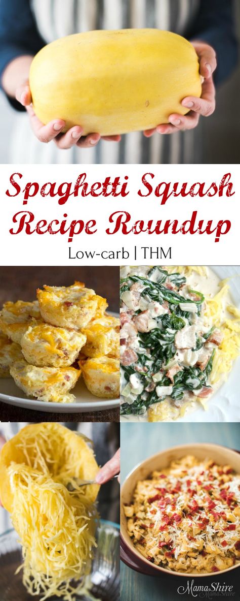 Spaghetti Squash Recipe Roundup - Enjoy these delicious gluten-free recipes using spaghetti squash. Sugar-free, Low-carb, THM, some are dairy-free. Spaghetti Squash Recipe, Trim Healthy Recipes, Trim Healthy Momma, Trim Healthy Mama Recipes, Healthy Carbs, Squash Recipe, Spaghetti Squash Recipes, Delicious Gluten Free Recipes, Thm Recipes