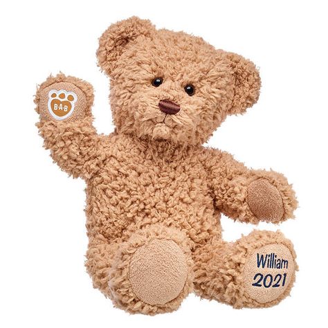 Embroidered Teddy Bear | Online Exclusive Gift | Shop at Build-A-Bear® Build A Bear, Gift Set, Bears, Teddy Bear