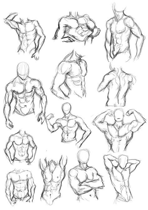 Side Abs Reference Drawing, Male Body Anatomy Drawing Step By Step, Sketches Men Body, Hot Anatomy Drawing, Front View Reference Drawing, Drawing Guys Body Pose Reference, Sketch Poses Female Anatomy Reference, Men Atonamy Drawing, Men Anotamy Drawing