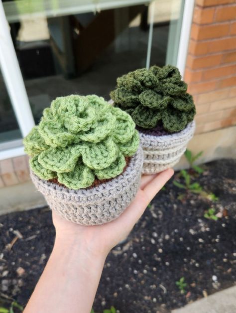 PATTERN: Crochet Succulent Pattern L Succulent Pattern L Succulent L Crochet L Cute Crochet Pattern - Etsy Free Small Crochet Patterns, Succulent Crochet Pattern, Handmade Tale, Pot Crochet, Succulent Pattern, Crochet Plants, Crochet Succulent, Crochet Garden, Fall Crochet Patterns