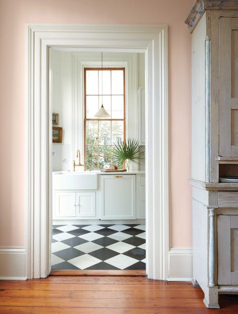 Tour Chelsea Handegan's Graciously Restored Charleston House – Frederic Magazine Charleston Homes Interiors, Charleston Interior Design, Frederic Magazine, Charleston House, Julia Berolzheimer, Charleston Homes, Room Screen, Pink Walls, Charleston Sc