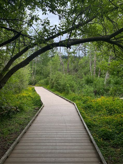 Nature, pathway, wildflowers, scenery, cottage core, peaceful scenery, wooden path, forest, nature walk Park Pathways Design, Wooden Pathways Walkways, Forest Walkway Design, Organic Pathways, Forest Boardwalk, Forest Pathways, Wooden Pathways, Path Architecture, Forest Walkway