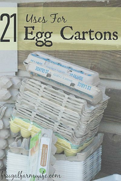 Try these 21 adorable egg carton uses for all those leftover cartons your family has lying around! I love them all but #5 might be my favorite! Egg Carton Uses, Chicken Owner, Micro Greens, Egg Container, Farm Wife, Egg Crates, Eat A Lot, Egg Cartons, Egg Carton Crafts