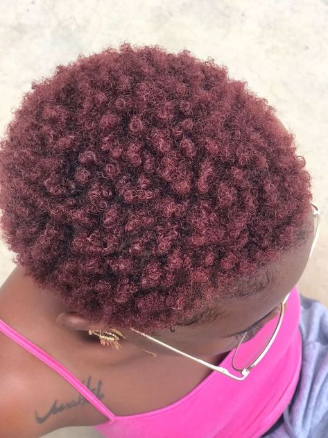 Short Twa Hairstyles 4c Hair Color, Dye Colours For Dark Skin Short Hair, Dyed Short Natural Hair Black Women, Hair Dye Ideas For Dark Skin, Dyed Natural Hair For Black Women Dark Skin, Dyed 4c Natural Hair, Hair Dye For Dark Skin, Dyed Short Natural Hair, Dyed 4c Hair