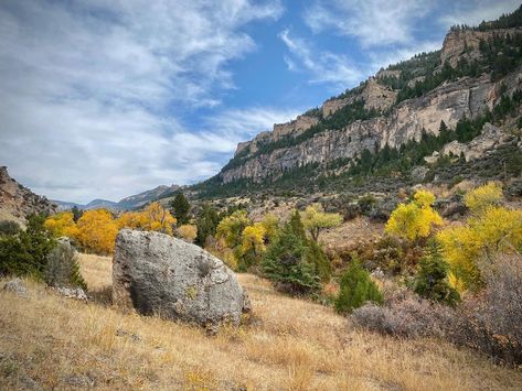 Bighorn Mountains Wyoming, Big Horn Mountains Wyoming, Mountains Wyoming, Wyoming Mountains, Sheridan Wyoming, Diy Compost, Wyoming Travel, Big River, Camping Spots