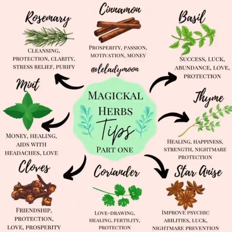 Herb Meanings, Herbs For Protection, Thyme Herb, Magickal Herbs, Witch Herbs, Green Witchcraft, Witch Spirituality, Magic Herbs, Essential Oils Herbs